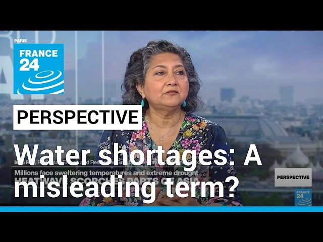 'Water shortages should be reclassified as unwise water use,' expert says • FRANCE 24 English