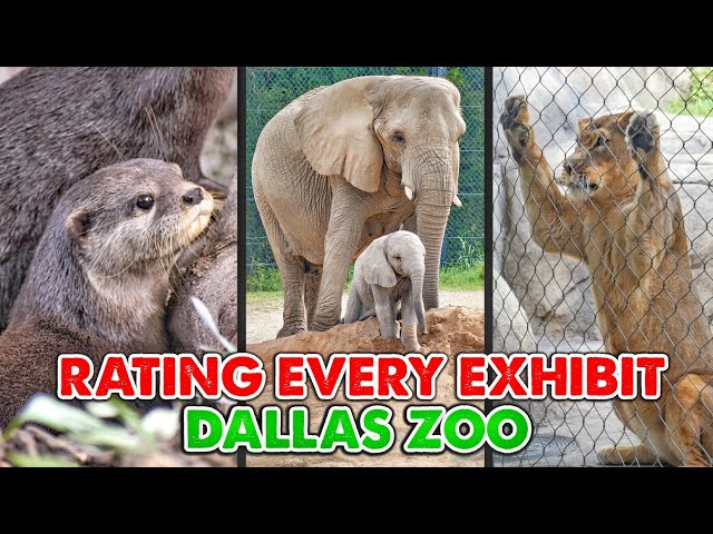 Rating Every Exhibit at the Dallas Zoo