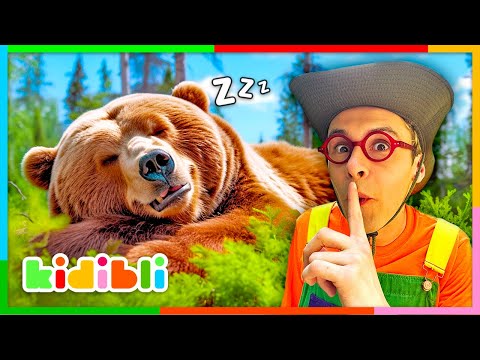 LET'S DISCOVER WILD ANIMALS 🐻 Educational Animal Videos for Kids