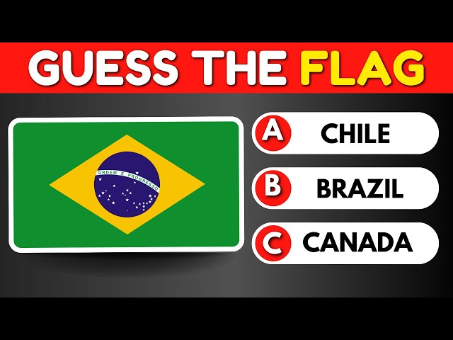 Guess And Learn Flags Of South America