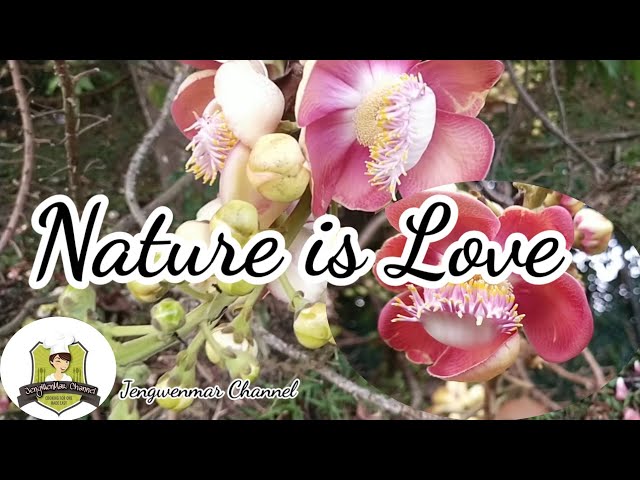Nature is Love | Jengwenmar Channel