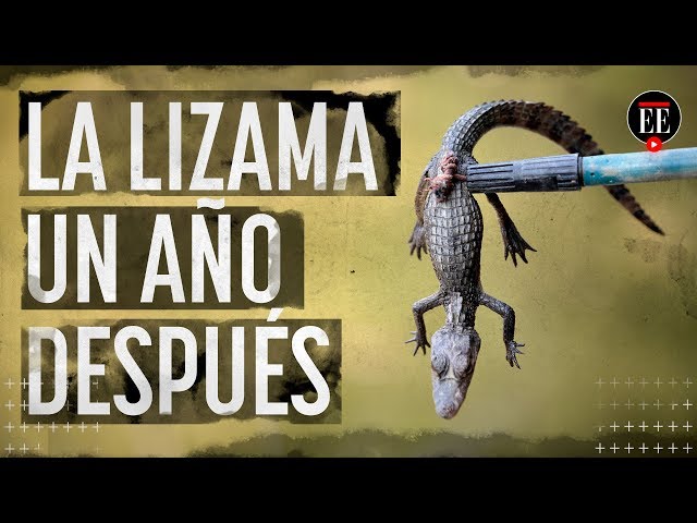 La Lizama: la esperanza revive tras el derrame de crudo de 2018 | Noticias | El Espectador