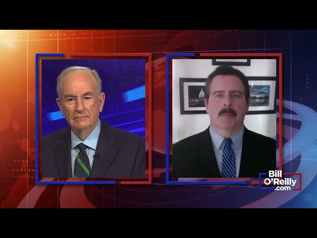 Bill O'Reilly on Donald Trump's Unwavering Loyalists