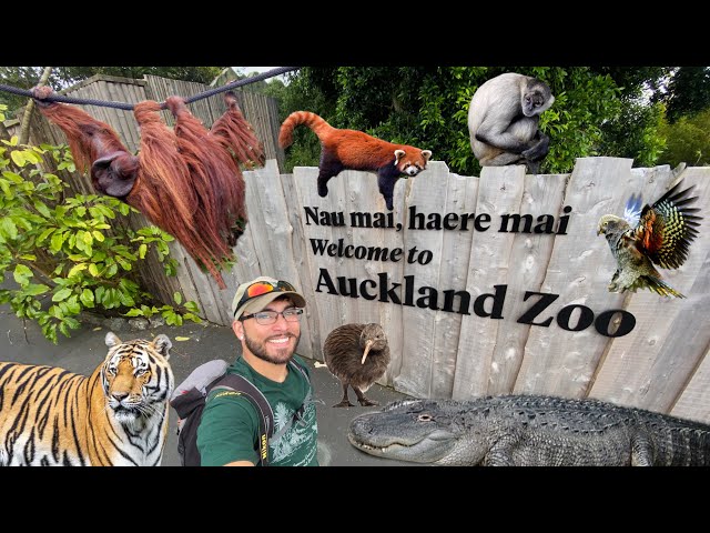 BEST ZOO in the WORLD!? | Auckland Zoo Tour - New Zealand