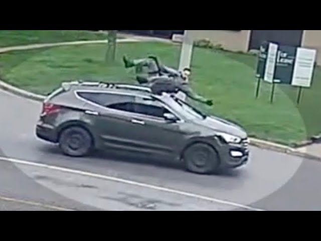 CAUGHT ON CAMERA:  York Police officer survives by being struck by a stolen vehicle