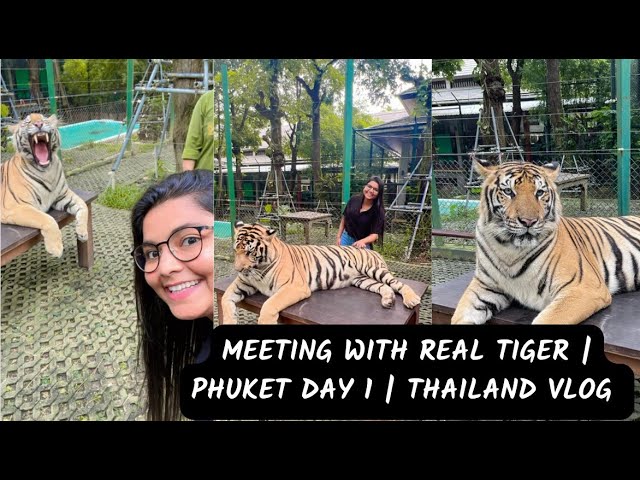 Meeting with Real Tiger | Phuket Day 1 | Thailand Vlog Episode 5