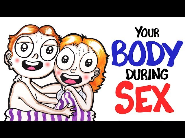 Your Body During Sex