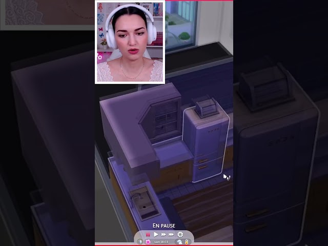 Ma voisine rentre chez moi sans mon autorisation ! 😡 Legacy Sims 4