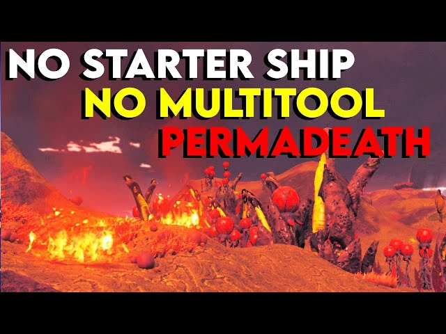 No Starter Ship or Multitool Challenge Permadeath No Man's Sky