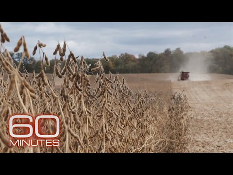 How agriculture hastens species extinction | 60 Minutes