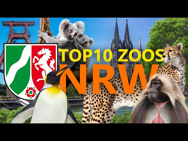 Top 10: Die besten Zoos in NRW / Nordrhein-Westfalen