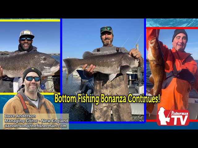 December 1, 2022  New England Video Fishing Forecast with Dave Anderson