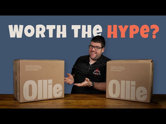 Don't Buy Ollie Dog Food Until You Watch This Review!