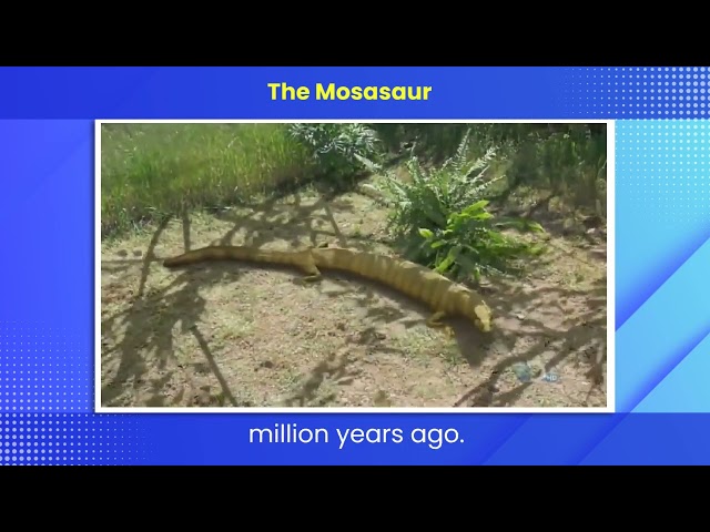 the mosasaur
