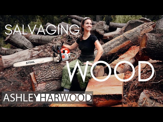 Woodturning: Salvaging Wood for bowls