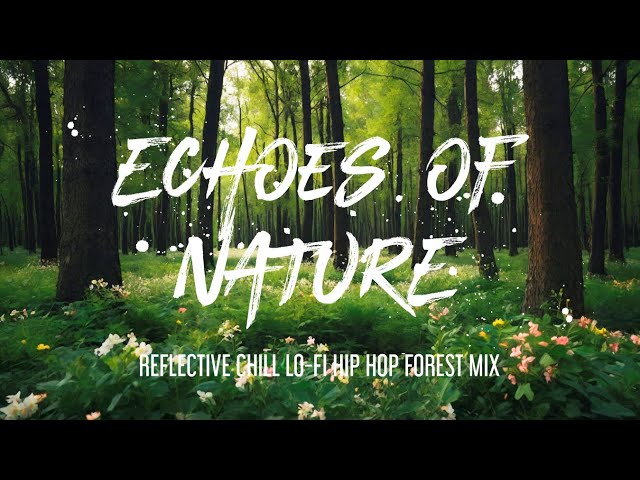 Echoes of Nature: Reflective Chill LoFi Hip Hop Forest Mix