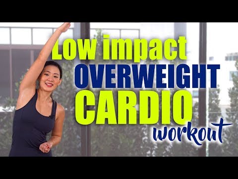 BEGINNER Exercises to Lose Weight - Low Intensity, Low Impact
