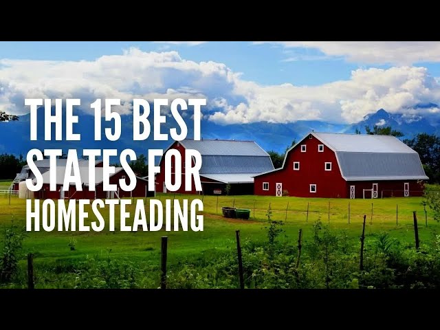 The 15 Best States for Homesteading in 2024