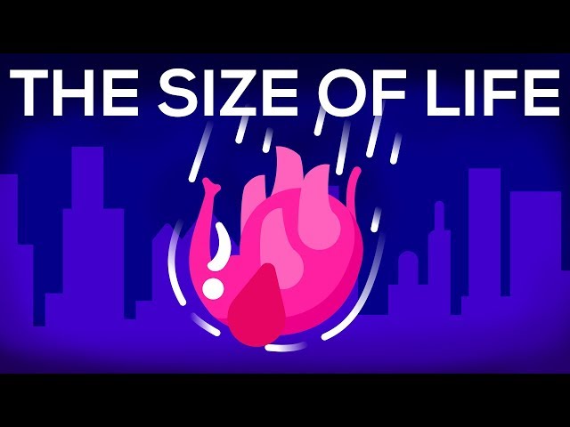 What Happens If We Throw an Elephant From a Skyscraper? Life & Size 1