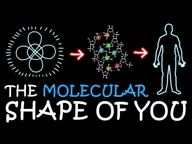The Molecular Shape of You (Ed Sheeran Parody) | A Capella Science