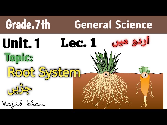 Ch. 1 || Lec. 1 || Root System جڑیں || Class 7 General Science (Urdu).