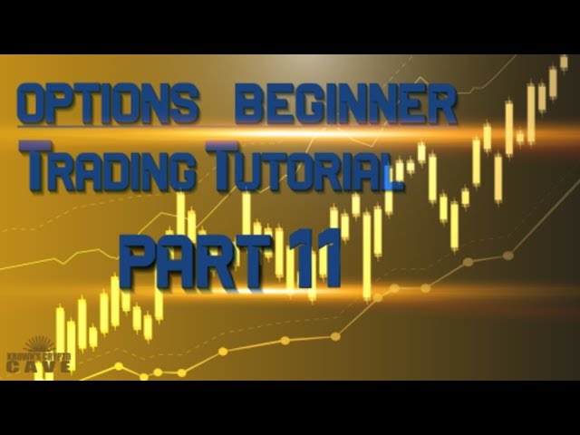 Options Beginner Trading Tutorial - The Call Spread (Part: 11)