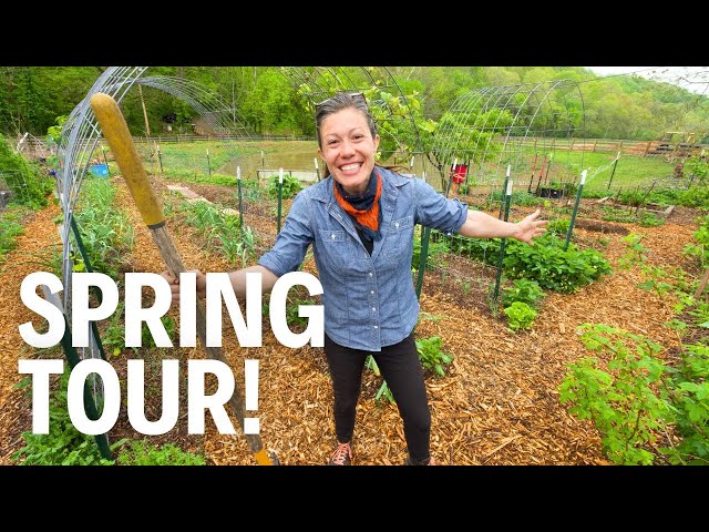 Lazy Gardening Has Paid Off! | FULL Spring Garden Tour 2024!