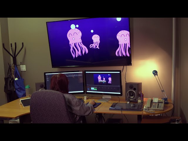 Occupational Video - Animator