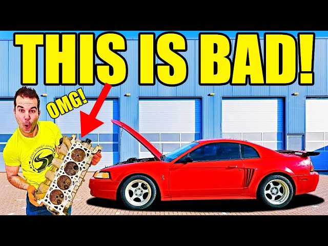 Rebuilding The World's Fastest Cobra Mustang! ABANDONED For 20 Years! New Engine & CARNAGE!