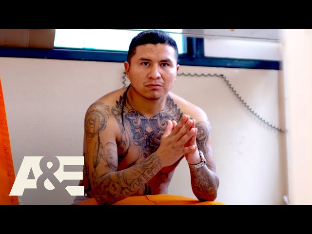 Behind Bars: Rookie Year: Top 7 Prison Gang Moments | A&E