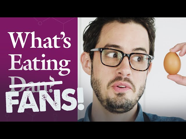 What’s Eating Fans? | Dan Responds | Olive Oil, Cauliflower &  Egg Yolks | What’s Eating Dan?