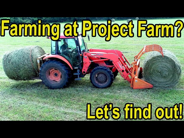 Does Project Farm Actually Farm?  Let's find out!