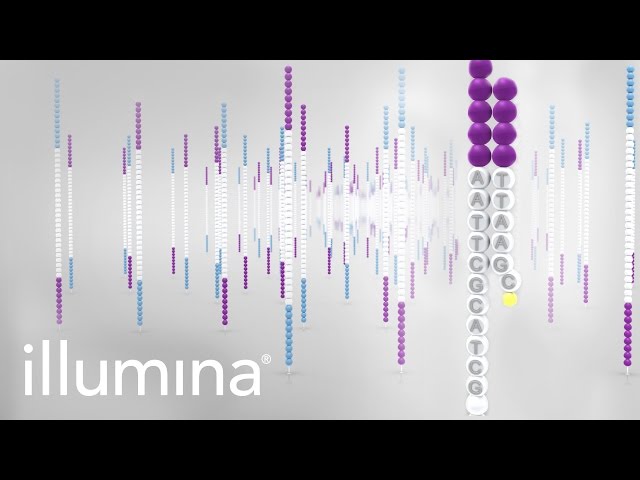 Overview of Illumina Sequencing by Synthesis Workflow