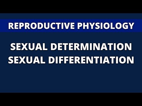 REPRODUCTIVE PHYSIOLOGY LECTURES