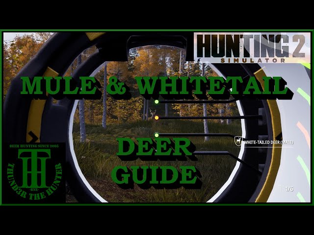 Mule Deer & Whitetail Deer Guide For New Players - Hunting Simulator 2 [PC]