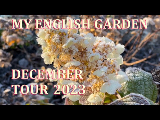 December Front Garden Tour - My English Garden  -  2023