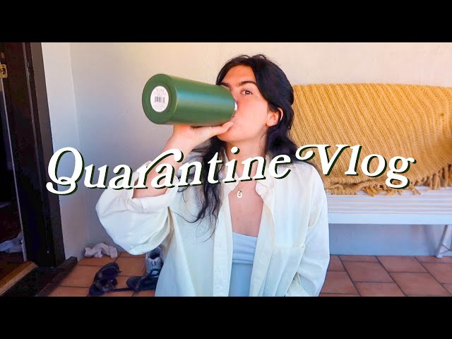 Quarantine Vlog: cooking, staying positive, back in Colorado | wearilive