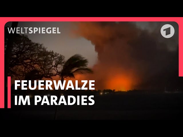 Hawaii - Leben auf Maui nach dem extremen Feuer | Weltspiegel