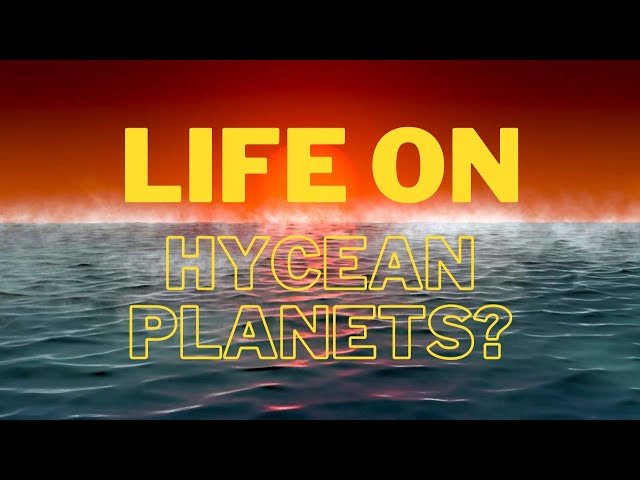 Life on Hycean planets?
