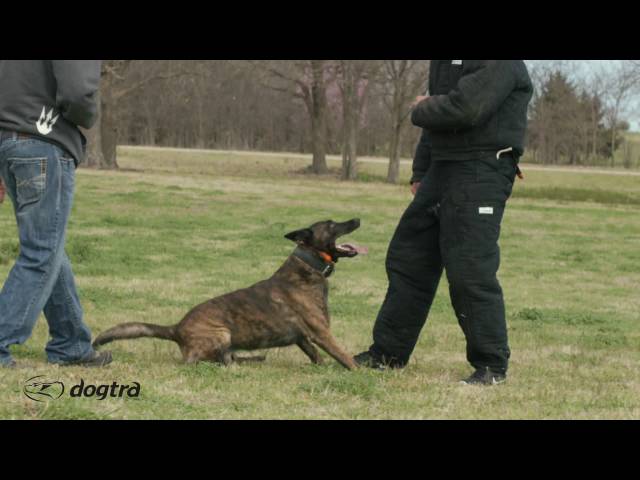 Ep.8 - K9 Dog Training with Mike Ritland: Bite Confidence