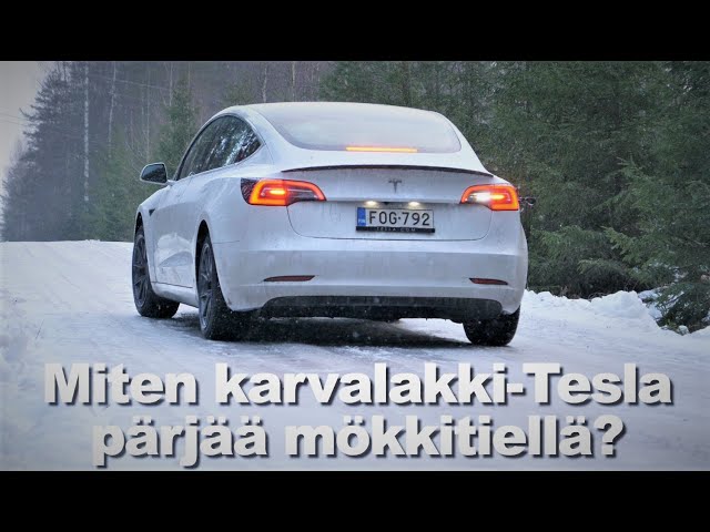 Karvalakki-Tesla Mökkitiellä, Teaser