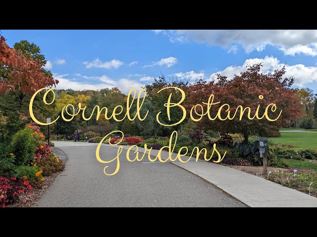 Visiting the Gorgeous Cornell Botanic Gardens, Ithaca, NY