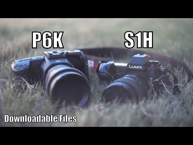 Bmpcc 6k vs Panasonic S1H