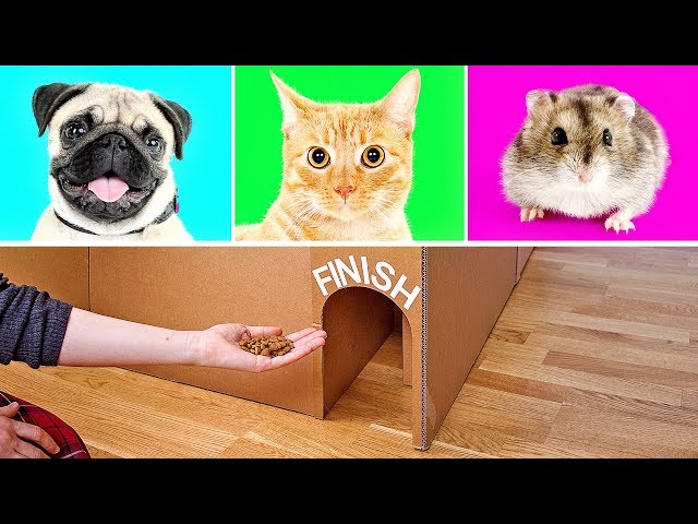 3 Cool Cardboard Crafts That Will Knock Your Socks Off