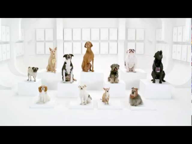Star Wars Song DOGS Commercial VW