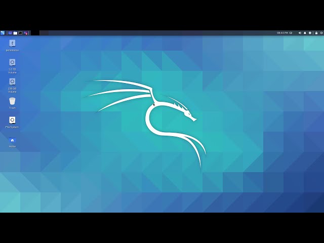 Kali Linux USB Live - Persistence - Encrypted Persistence | Kalıcı Mod Kurulumu