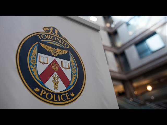 Toronto police auto theft investigation recovers 48 stolen vehicles worth over $3M