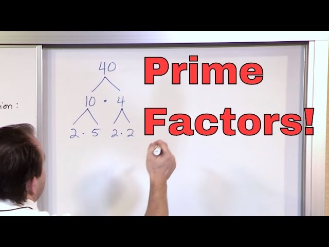 Prime Factorization - 5th Grade Math - Finding Factors of a Number (Factoring) - Math Homework Help!