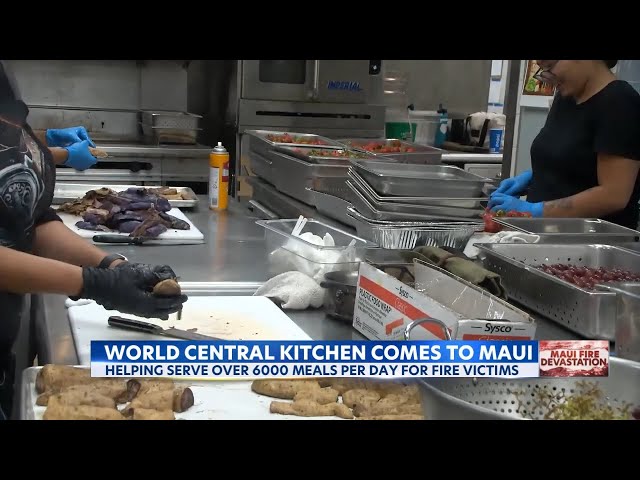 World Central Kitchen comes to Maui to cook thousands of meals daily for fire survivors
