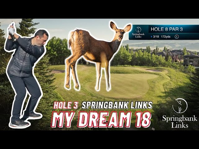 My Dream 18, Ep 3 | Springbank Links Golf Club - Hole 8 Par 3 172yds